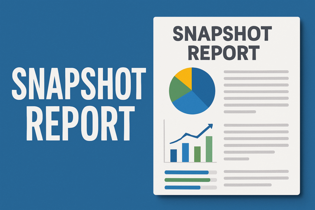 Key Components of a snapshot report